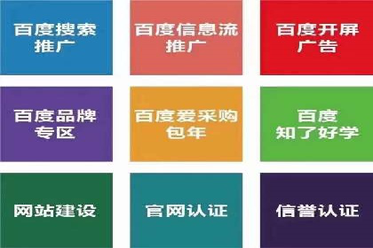 百度SEO推广公司案例研究：助力企业实现品牌提升